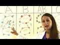 Blood Types Explained  Blood Groups (ABO) and Rh Factor Nursing Transfusions Compatibility