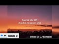 Soulful Amapiano Mix 2024 (Mixed By DJ Sphecial)