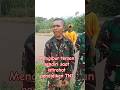 Menghibur teman2 sesama pendidikan secata TNI AD #pendidikanmiliter #rindam #secata #tni #tniad