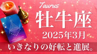 [Taurus] March 2025 ♉️ What you've been looking for is likely to come to fruition! Find the outle...