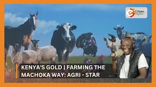 | Kenya's Gold | Farming the Machoka way: Agri - Star