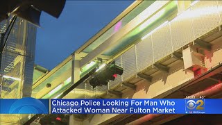 Attempted Sexual Assault Near Fulton Market Prompts Warning From CPD