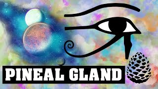PINEAL GLAND, Truth behind 3rd Eye and Spiritual Enlightenment, Ronny Hatchwell, Pinecone
