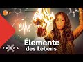 Auf der Suche nach den Elementen des Lebens | Mai Thi Nguyen-Kim | Terra X