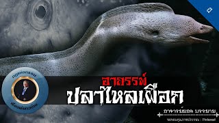 อาจารย์ยอด : อาถรรพ์ปลาไหลเผือก [ผี]