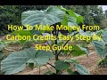 How To Make Money Trading Carbon Credits That You Actually Create