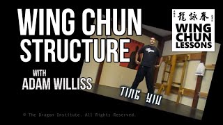 Wing Chun Structure (6 Elements of Good Form)