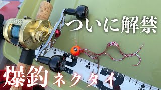 連日爆釣のタイラバネクタイがついに解禁したので瀬戸内で使い倒した結果…【2馬力ゴムボート】