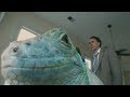 Josh Olson on BAD LIEUTENANT: PORT OF CALL - NEW ORLEANS