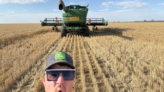 (WELL) half way through harvest in NSW wheat and barley done. 1 tyre down at 100hrs old