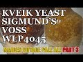 Kveik Yeast Ferment 30c - A Close Look - Maiden Voyage Pale Ale - Part 3