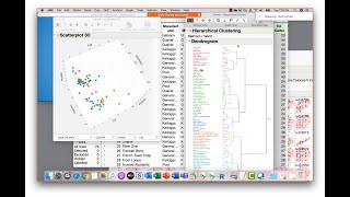 JMP Academic Series: Research Methods (Clustering, PCA, EFA, CFA, Path Analysis, SEM)