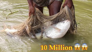 Unbelivalbe Fishing🐠🐟Technique | Village Traditional Fishing by Village People