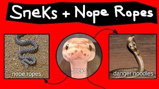 Nope Ropes, Sneks, & Danger Noodles