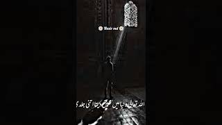 😊Ajmal Raza Qadri Status 🌺 Trend YouTube short video Islamic Status 🤲 Whatsapp Status New video