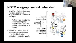 Workshop "Spatial transcriptomics data analysis in Python" - 1.2 (ncem)
