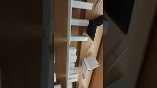 Apple store video milton Keynes uk 🇬🇧