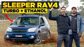 We Raced a HORSE with our Turbo Rav4