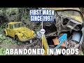 Disaster Barnyard Find ABANDONED in Woods | First Wash Since 1997! | VW Beetle Detailing Restoration