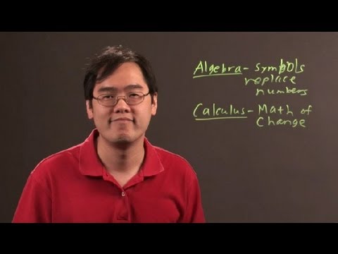 Is algebra easier than calculus?