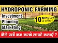 All about Hydroponic Farming in 10 minutes