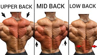 Best 5 Upper Back Middle Back and Lower Back to Build Bigger Back - Big Back Workouts