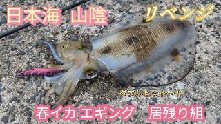 春イカの居残り組を狙い撃つ　6月上旬 日本海山陰エギングで前回ボウズのリベンジ釣行