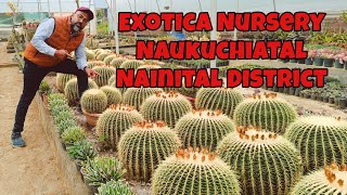 Nursery Tour | Exotica Nursery, Naukuchiatal, India #nainital #plantsnursery