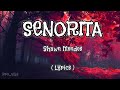 Senorita - Shawn Mendes | Lyrics video | English song