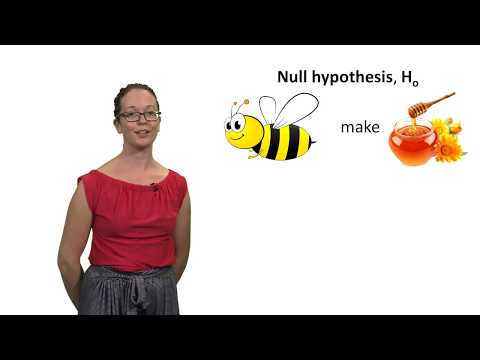 What is a complementary hypothesis?