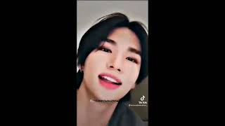 Stray Kids Hyunjin TikTok Edit Compilation