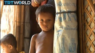 Where do the world’s refugees go? | Five Facts | Bigger Than Five