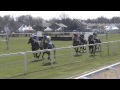 2013 John Smith's Maghull Novices' Chase - Special Tiara