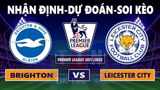 Nhận định soi kèo Brighton vs Leicester City | 20h00-19/09 /2021