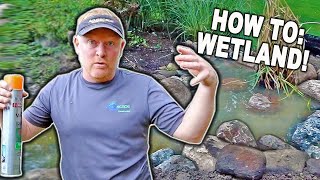How to Build a Wetland Filter for an Existing POND