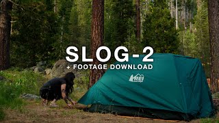 Color Grading SLOG-2 | Adobe Premiere | Sony a7iii