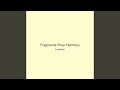Fragments River Harmony