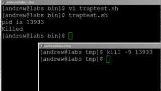 BASH scripting lesson 8 using TRAP to control scripts