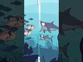 你明白了什么道理呢？Shark experiment