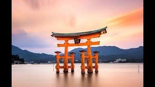 Japan: the next generation of growth
