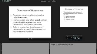 Chapter 20 Endocrine System Part1