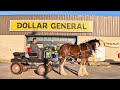 Oliver Goes To Dollar General - Rescued Clydesdales First Time In Town!