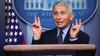 Fauci funded 'bat-human interface' research in China to avoid an outbreak in the US