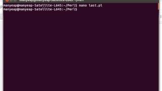 Perl Last Statement Example