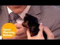 Tinkerbell the smallest dog in the country bites Ben | Good Morning Britain
