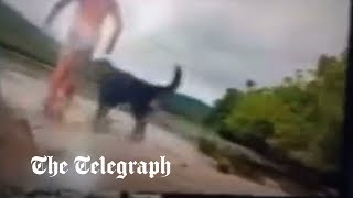 Crocodile eats dog and mauls man in shocking attack in Australia
