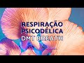 Respiração Psicodélica l DMT Breathworks (3 Ciclos Guiados)