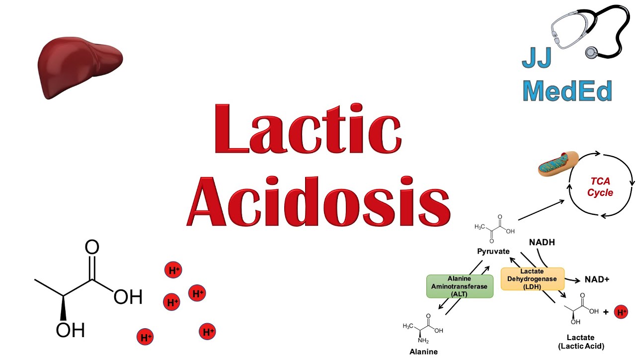 Lactic Acidosis: What Is It, Causes (ex. Metformin), And Subtypes A Vs ...