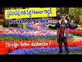 Keukenhof world largest Tulips Fields & Garden | Netherlands best time to visit | Telugu Traveller