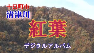 十日町市　清津川　紅葉